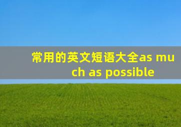 常用的英文短语大全as much as possible